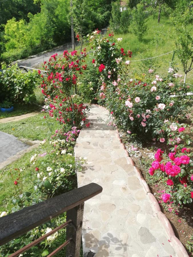 Casuta Cu Trandafiri Hotell Slănic Eksteriør bilde
