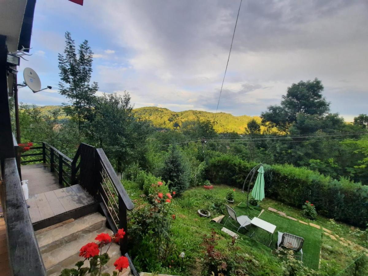 Casuta Cu Trandafiri Hotell Slănic Eksteriør bilde