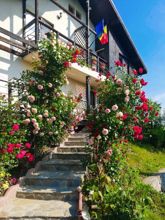 Casuta Cu Trandafiri Hotell Slănic Eksteriør bilde