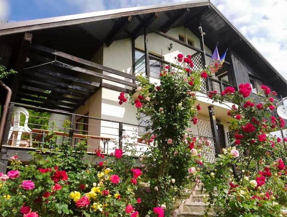Casuta Cu Trandafiri Hotell Slănic Eksteriør bilde