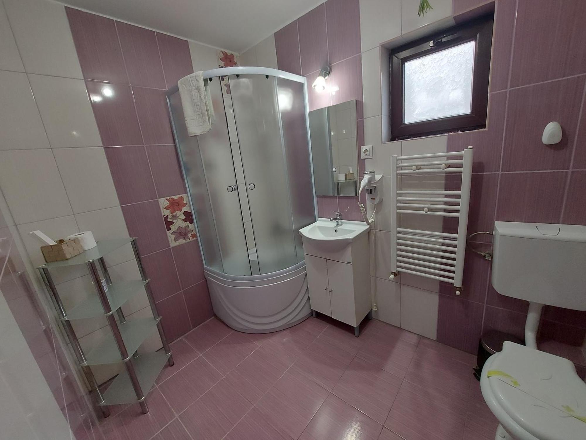 Casuta Cu Trandafiri Hotell Slănic Eksteriør bilde