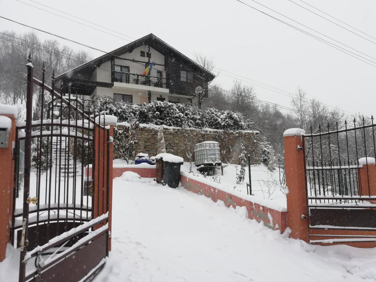 Casuta Cu Trandafiri Hotell Slănic Eksteriør bilde